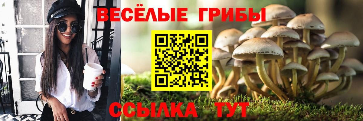 Новотроицк  Псилоцибиновые грибы MAGIC MUSHROOMS  Вход с VPN 